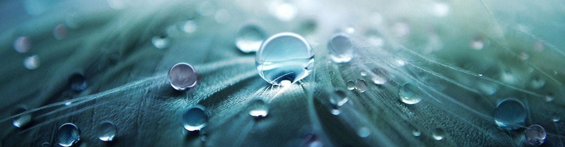 Proeflessen bij EGS Goirle